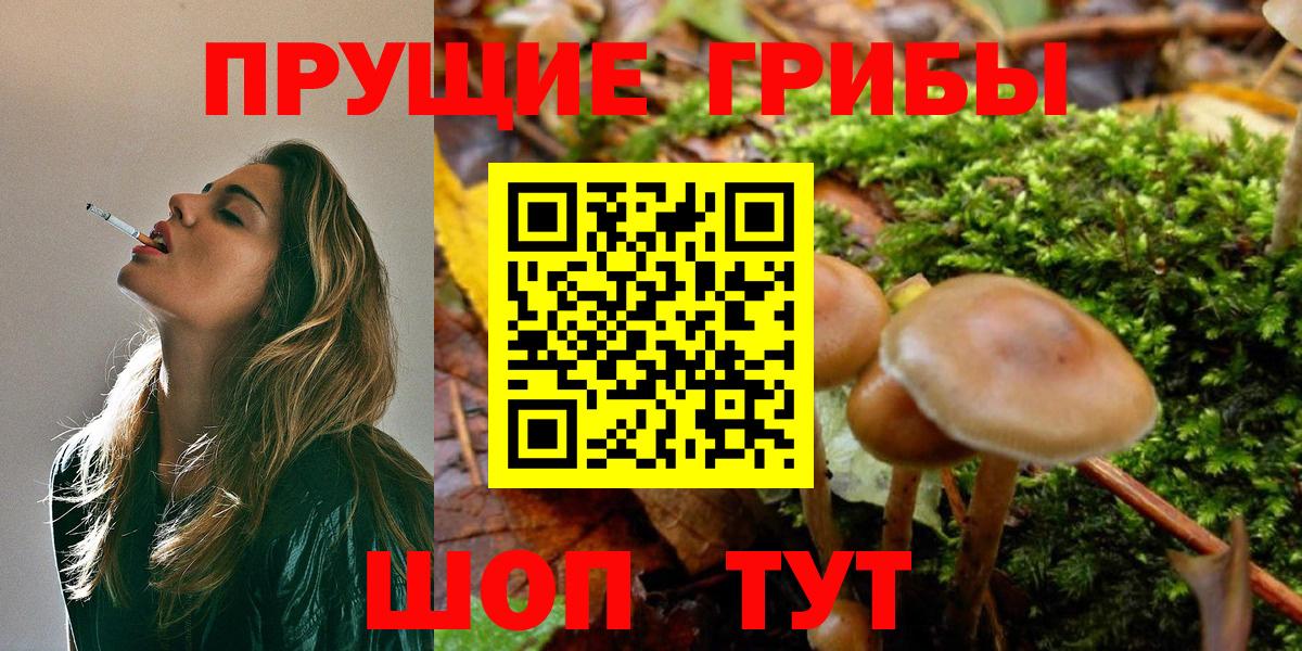 Галлюциногенные грибы MAGIC MUSHROOMS Зима