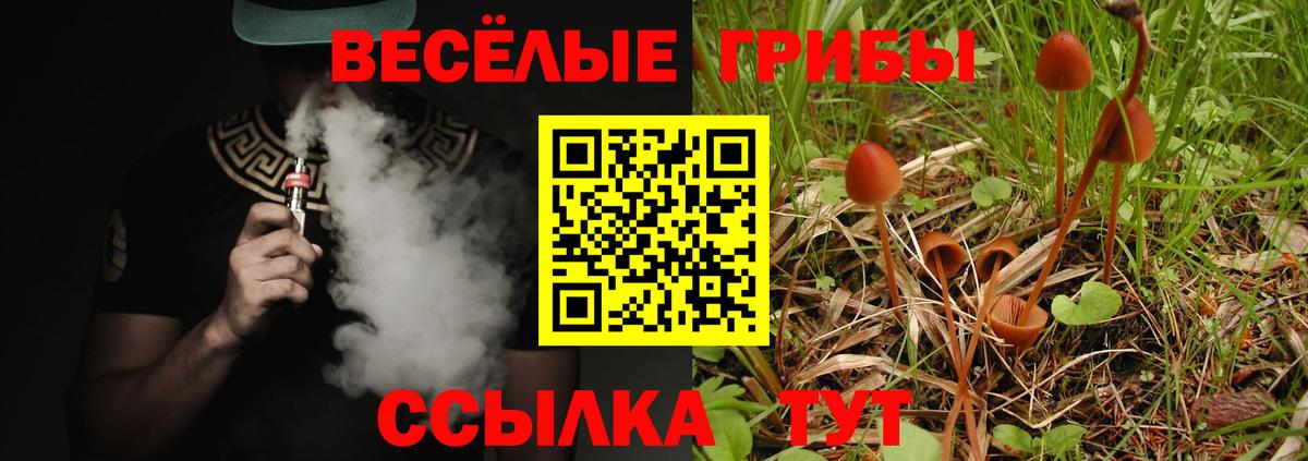 дарнет шоп  Вход с VPN  Зима  Псилоцибиновые грибы Magic Shrooms 