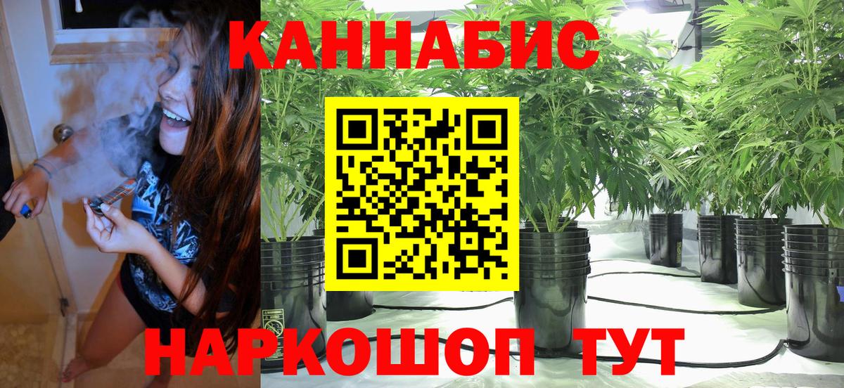 Марихуана конопля Зима